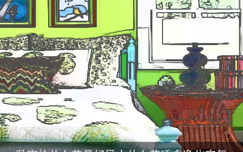 卧室放什么花最好风水什么花适合净化空气