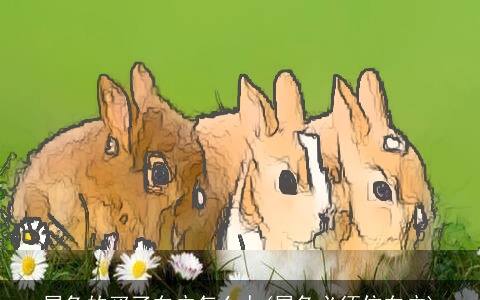 属兔的买了东户怎么办(属兔必须住东户)