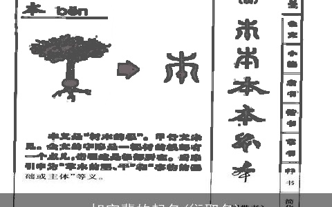 旭字辈的起名(衍取名)