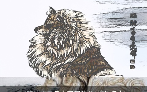 属狗的历史名人有哪些(属蛇的名人)