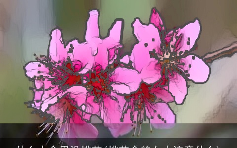 什么人命里没桃花(桃花命的女人注意什么)