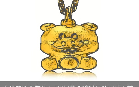 生肖鸡适合带什么吊坠(黄金貔貅吊坠配什么带)