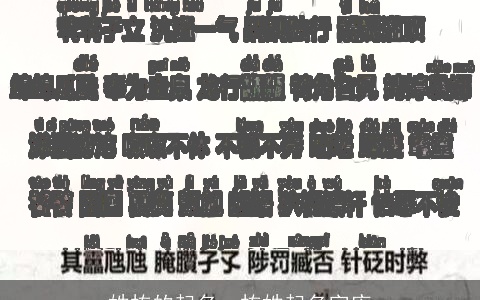 姓栋的起名，栋姓起名字库