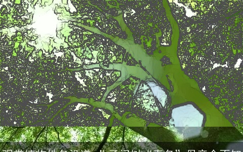 观赏植物姓名没谱 儿子问树“真名”母亲全不知