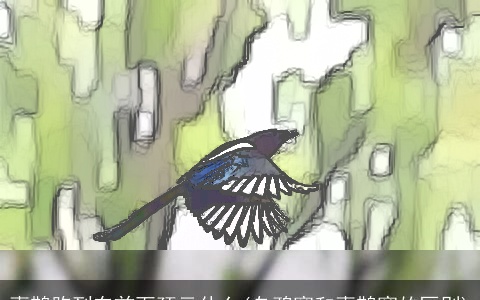 喜鹊跑到车前面预示什么(乌鸦窝和喜鹊窝的区别)