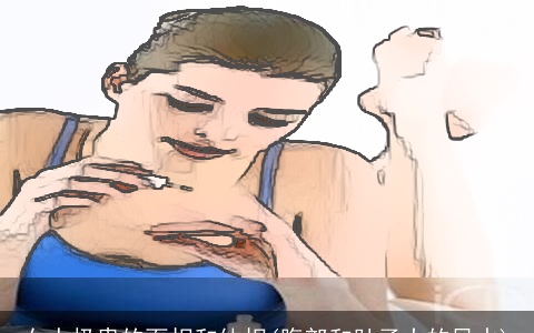 女人极贵的面相和体相(腹部和肚子大的风水)