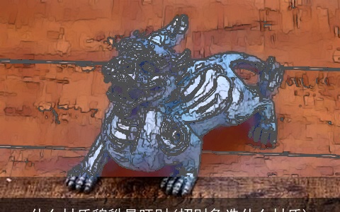 什么材质貔貅最旺财(招财象选什么材质)