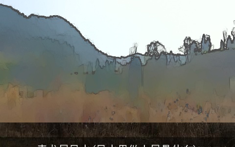 青龙局风水(风水里做土局是什么)