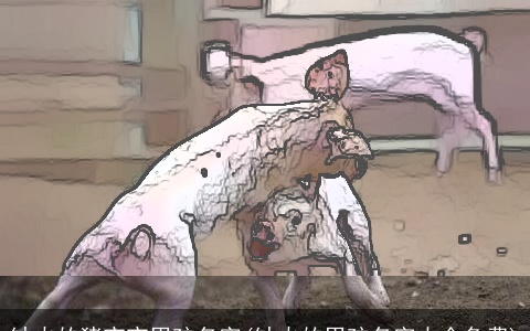 缺火的猪宝宝男孩名字(缺火的男孩名字大全免费)