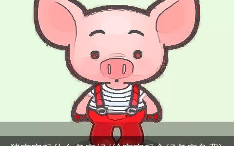 猪宝宝起什么名字好(给宝宝起个好名字免费)