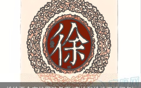 姓徐两个字的男孩名字(李姓和徐姓双姓取名)