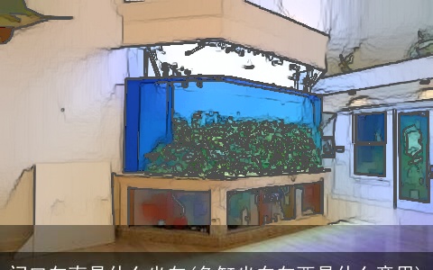 门口向南是什么坐向(鱼缸坐东向西是什么意思)