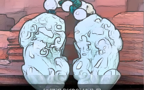 如何识别貔貅的公母