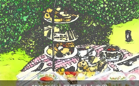 梦见和他人野餐是什么意思