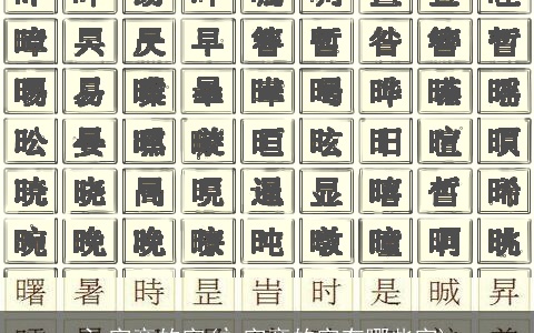 氵字旁的字(礻字旁的字有哪些字)