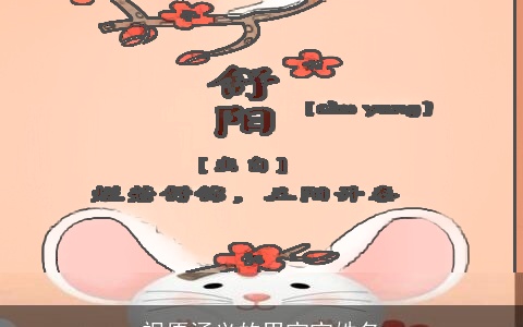 祝愿涵义的男宝宝姓名