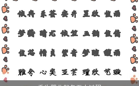 重生婴儿起名五大过程