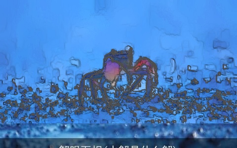 蟹眼面相(水蟹是什么蟹)