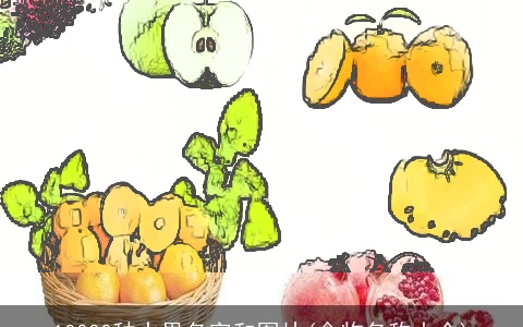 10000种水果名字和图片(食物名称大全)