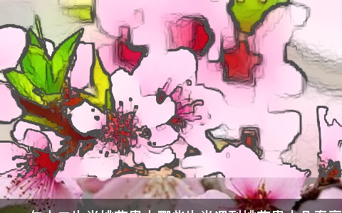 2023年十二生肖桃花贵人哪些生肖遇到桃花贵人几率高