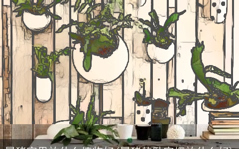 属猪家里放什么植物好(属猪的卧室摆放什么好)