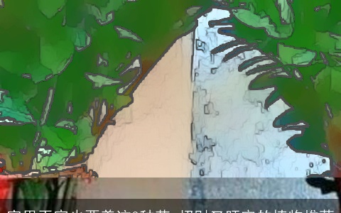 家里再穷也要养这3种花 招财又旺宅的植物推荐