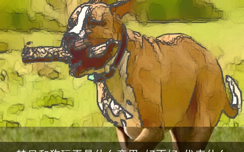 梦见和狗玩耍是什么意思,好不好,代表什么