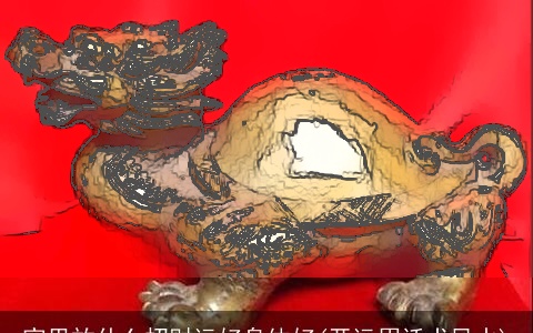 家里放什么招财运好身体好(开运眉话术风水)