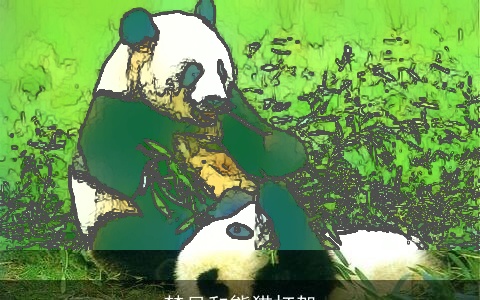 梦见和熊猫打架