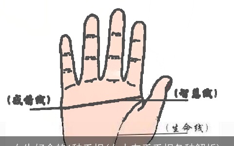 女生好命的6种手相(女人左手手相各种解析)