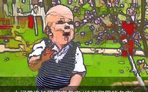 中间带海的男宝宝名字(姓海取男孩名字)