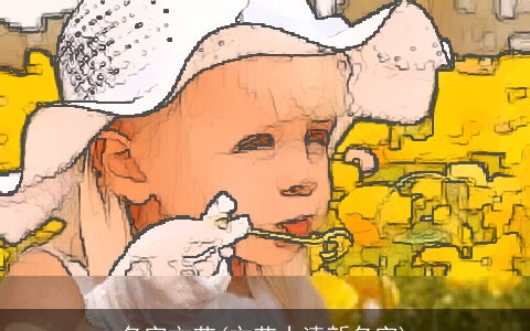 名字文艺(文艺小清新名字)