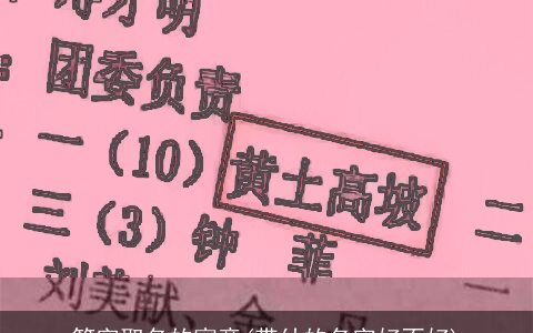 笔字取名的寓意(带幼的名字好不好)