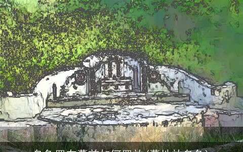 乌龟罢在墓前如何罢放(墓地放乌龟)