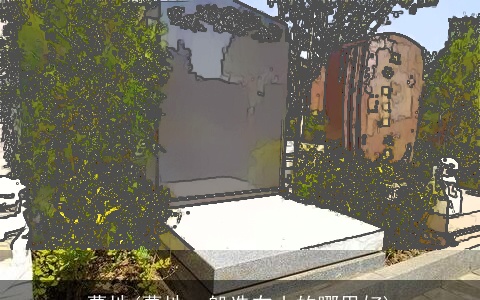 墓地(墓地一般选在山的哪里好)