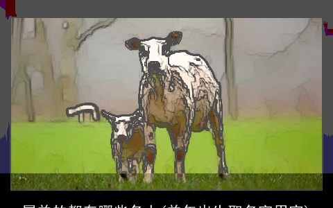 属羊的都有哪些名人(羊年出生取名宜用字)