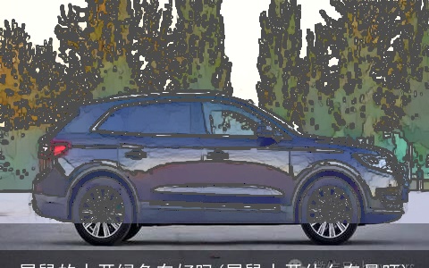 属龙的人开绿色车好吗(属龙人开什么车最旺)