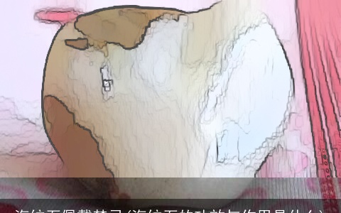 海纹石佩戴禁忌(海纹石的功效与作用是什么)