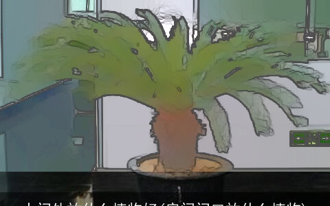 大门外放什么植物好(房间门口放什么植物)