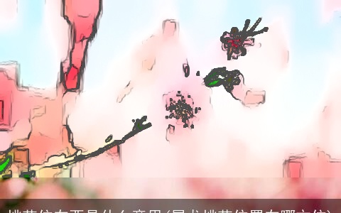 桃花位在酉是什么意思(属龙桃花位置在哪方位)