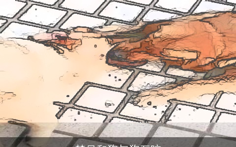 梦见和狗与狗互咬