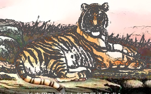 姓史男孩取什么名字属于老虎？