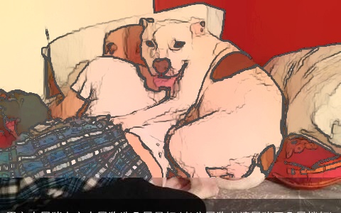 男主人属猪女主人属狗选几层最好(老公属狗老婆属猪买几层楼好)