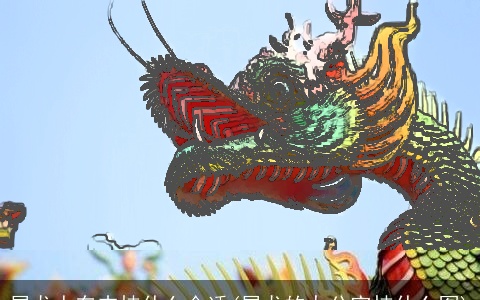 属龙人车内挂什么合适(属龙的办公室挂什么图)