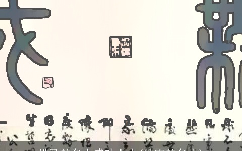 姓马的名人成功人士(姓霍的名人)