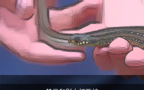 梦见和别人打死蛇