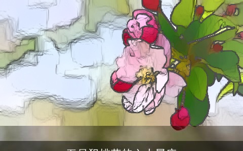 五月犯桃花的六大星座