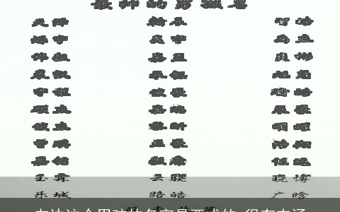 左边这个男孩的名字是西式的 很有内涵