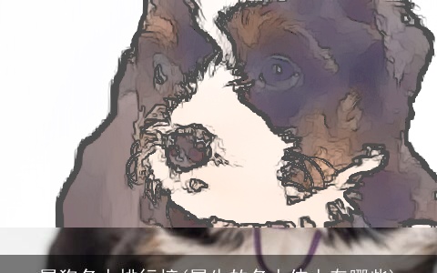 属狗名人排行榜(属牛的名人伟人有哪些)