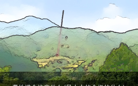 墓地进金注意什么(风水中的金指的什么)